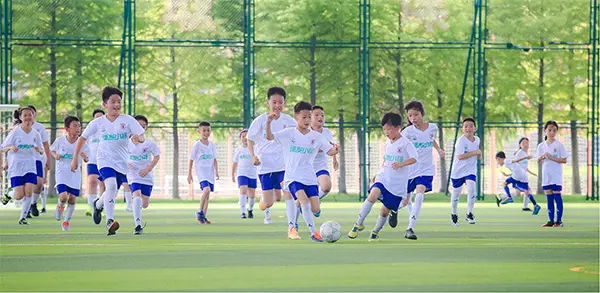 合优质资源, 携手山东泰, alt